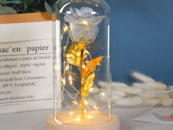 Valentines Day Gift  For Girlfriend Eternal Rose Flowers LED Light In Glass Cover Day Wedding Decoration Favors Mother Day Female Gift  Gift