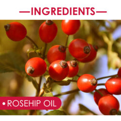 EELHOE Rosehip Facial Oil For Facial And Body Hydration, Nourishing Skin Care, Smooth Hair Care, And Massage Oil - Image 6