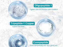 EELHOE Hydroconus Peptide Anti-Wrinkle Serum, Skin Repair Crow’s Feet Law Firming Wrinkles And Beautifying Skin